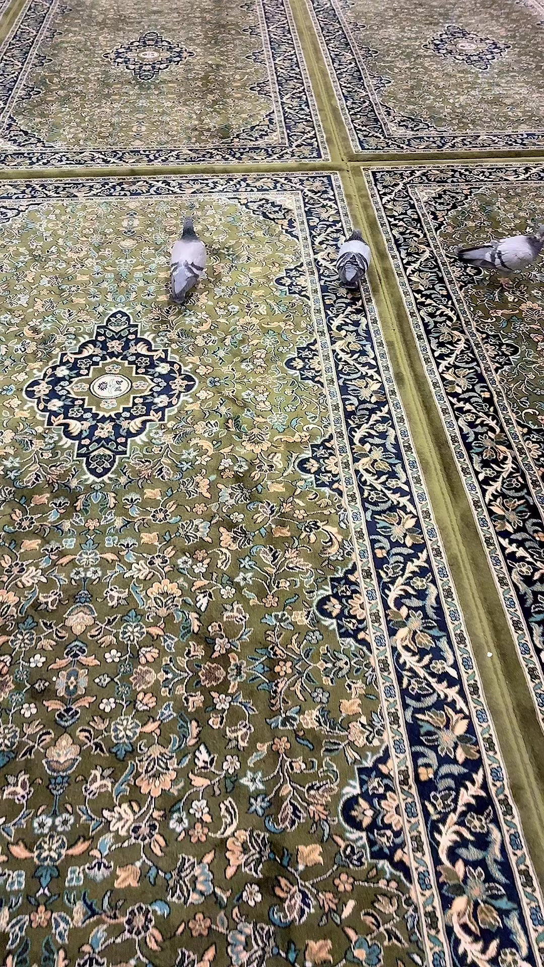 @Rumi Munawar