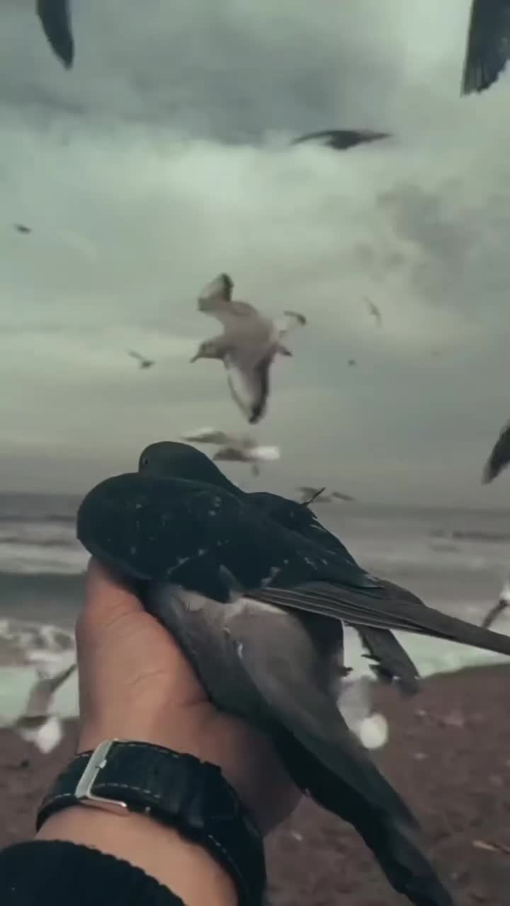 @MO_🕷️