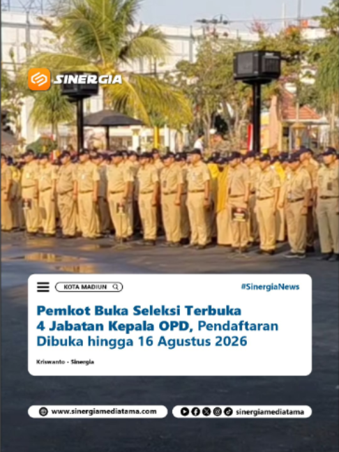 @SINERGIA MEDIATAMA