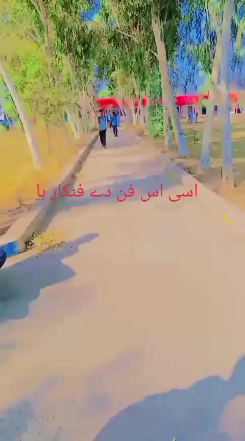 @qalab Abbas 736