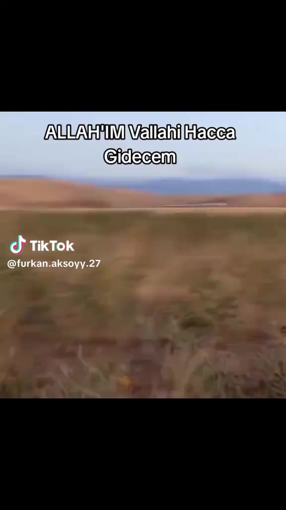 @CENK AYRAK
