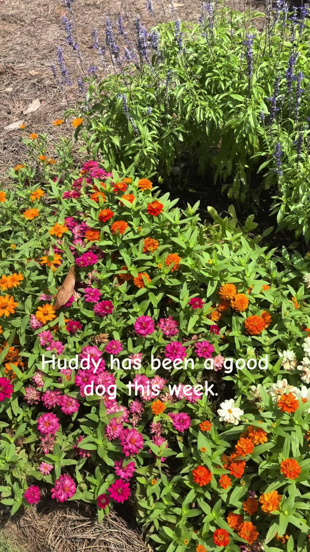 @frontporchchatter