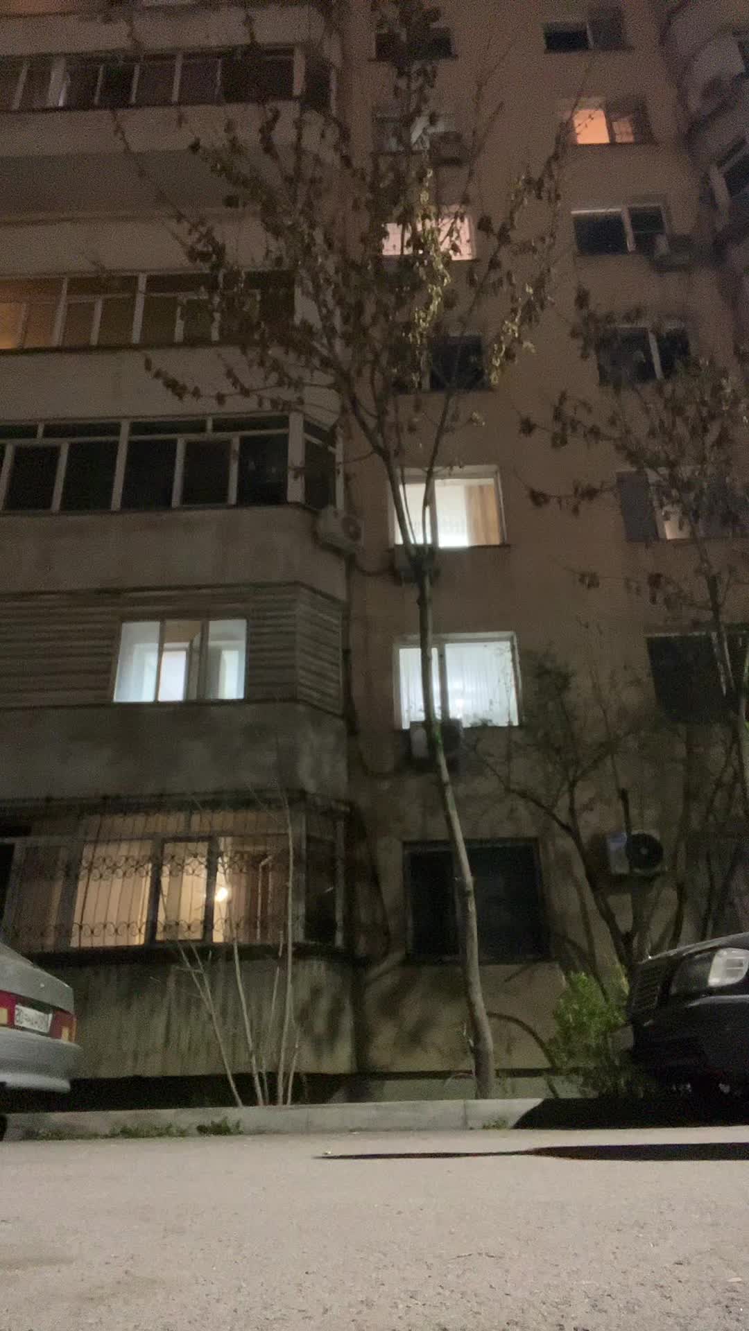 @goofnik