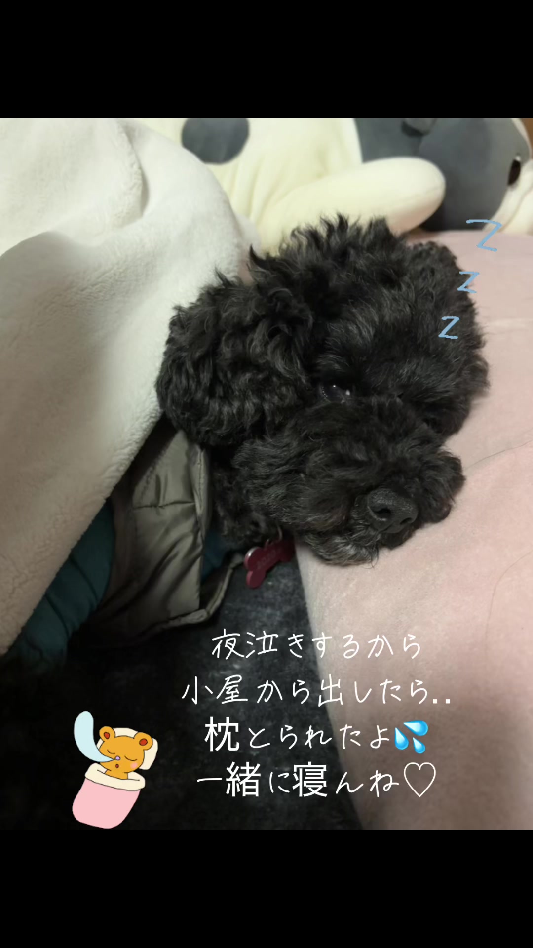 @くうきち