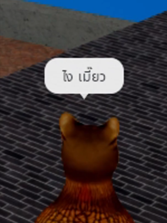 @KaiToon