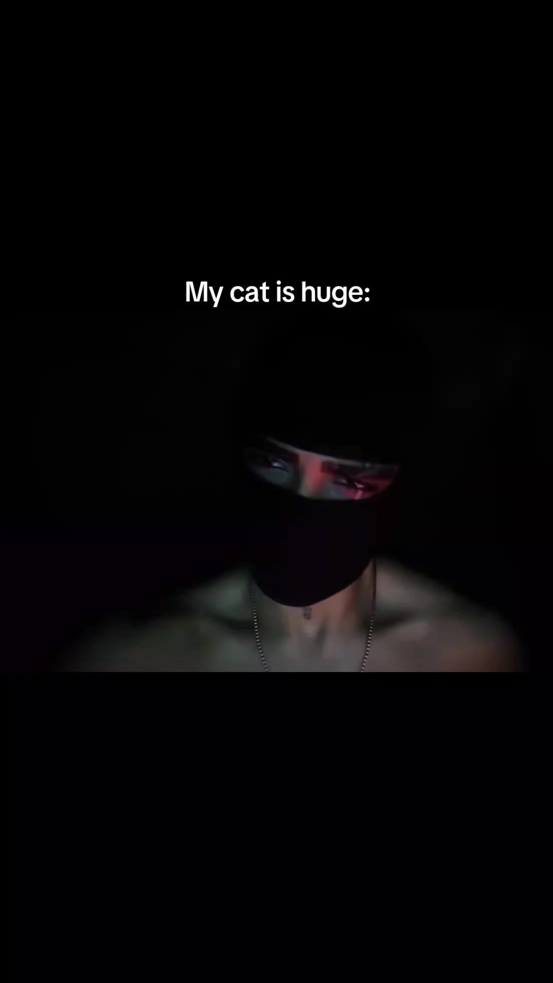 @tadashi𒉭
