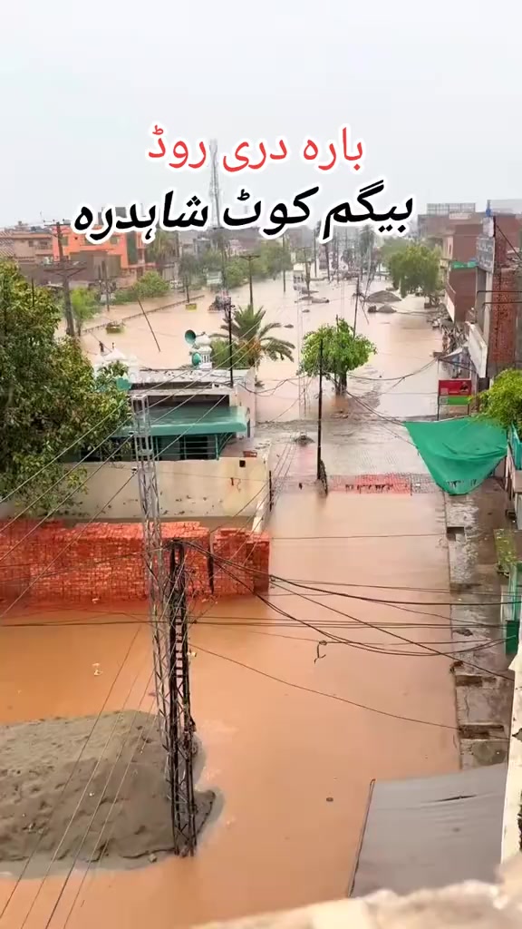 @saifkamboh120