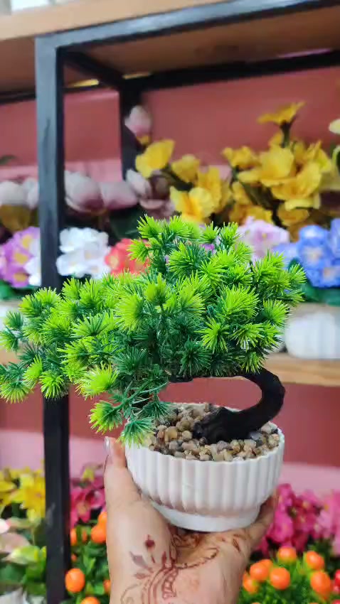 @Flora_p0int-dhumbarahi