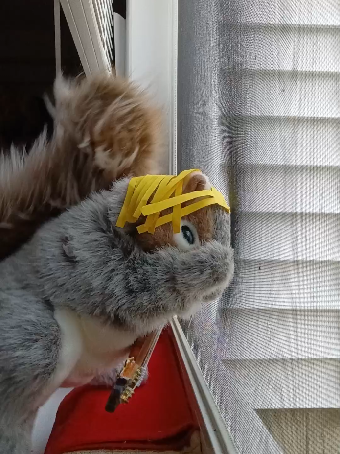 @Charles The Squirrel