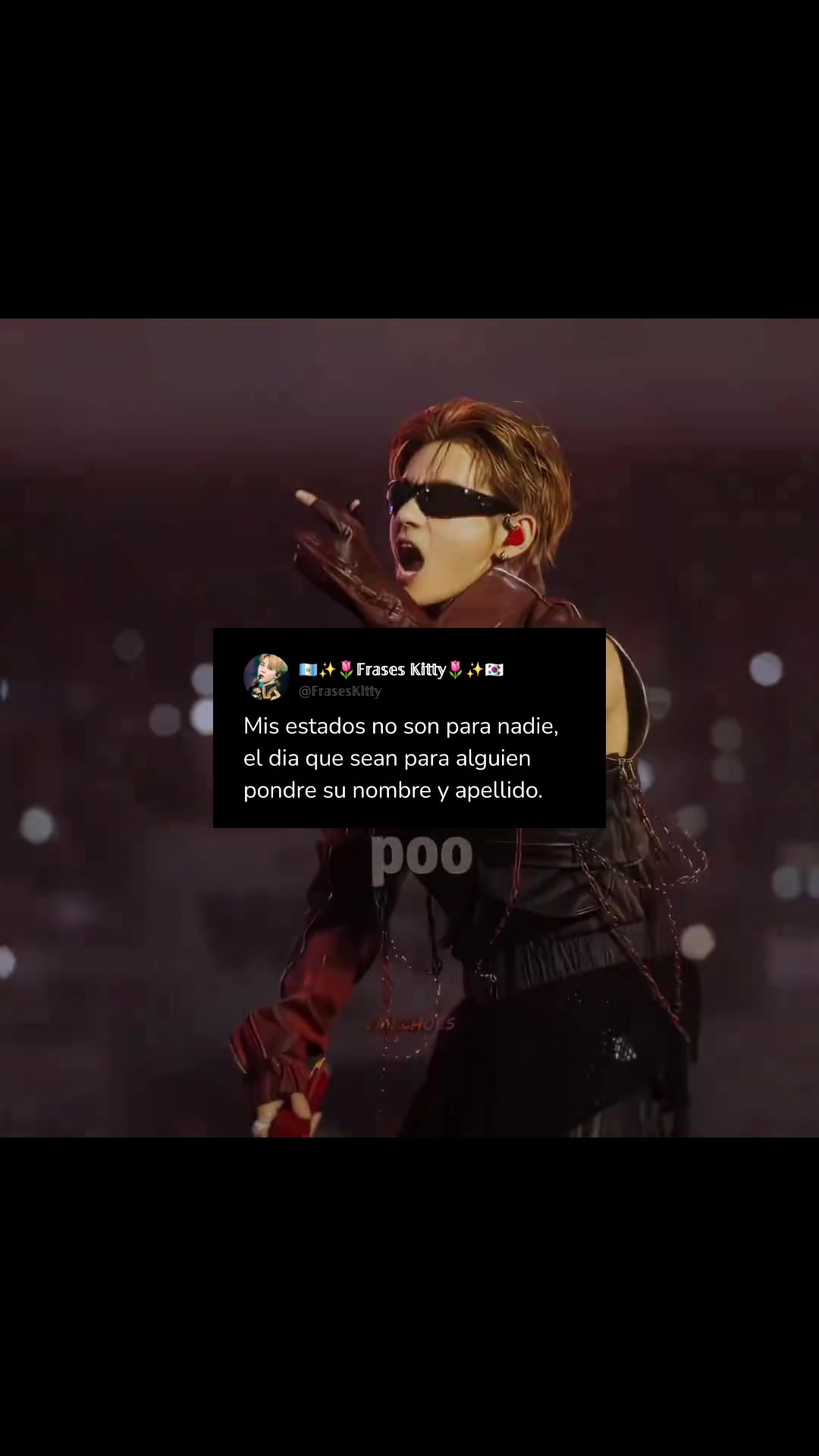 @✨️🌷𝔽𝕣𝕒𝕤𝕖𝕤𝕂𝕚𝕥𝕥𝕪🌷✨️