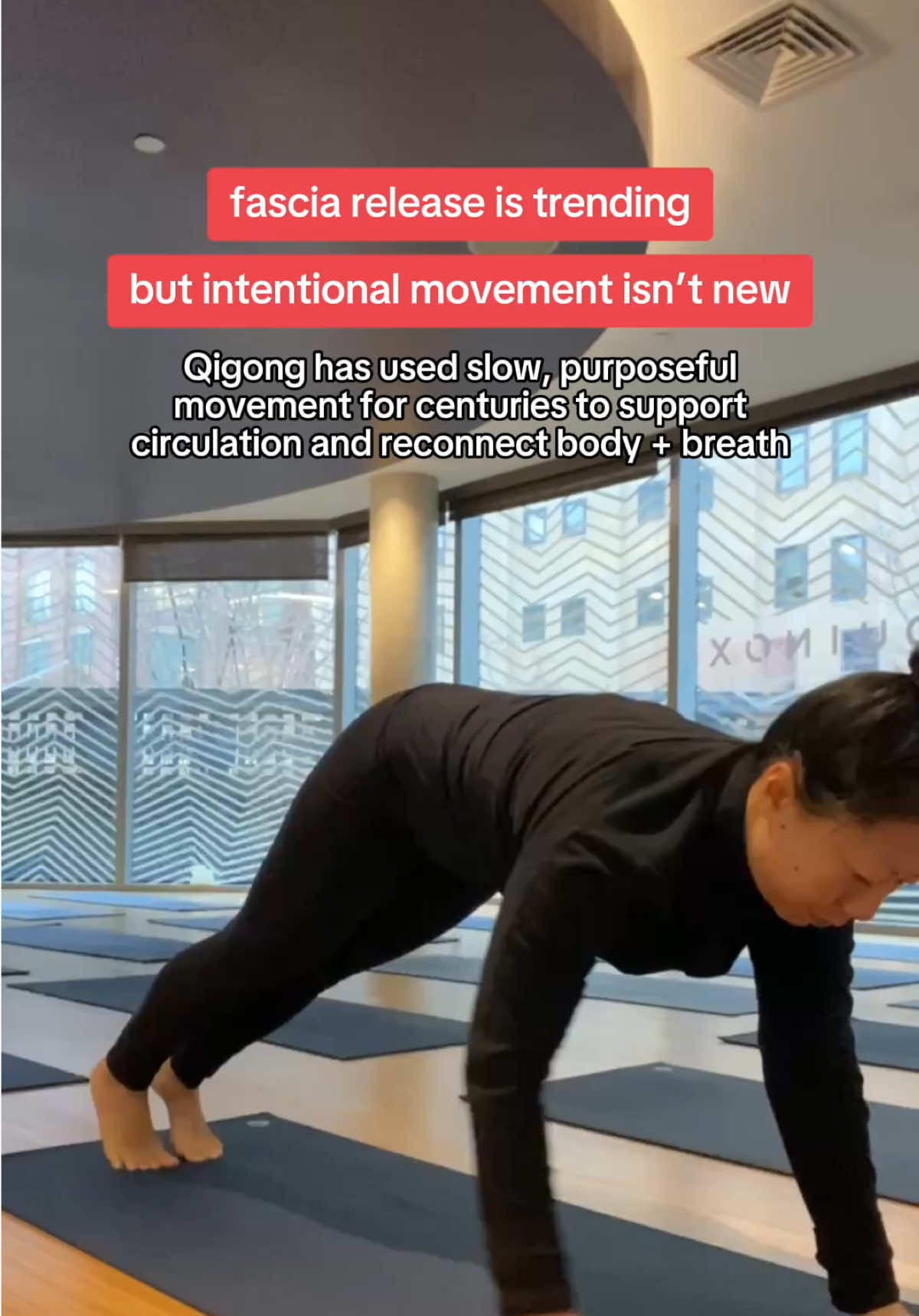 @Lulu - Elix Founder