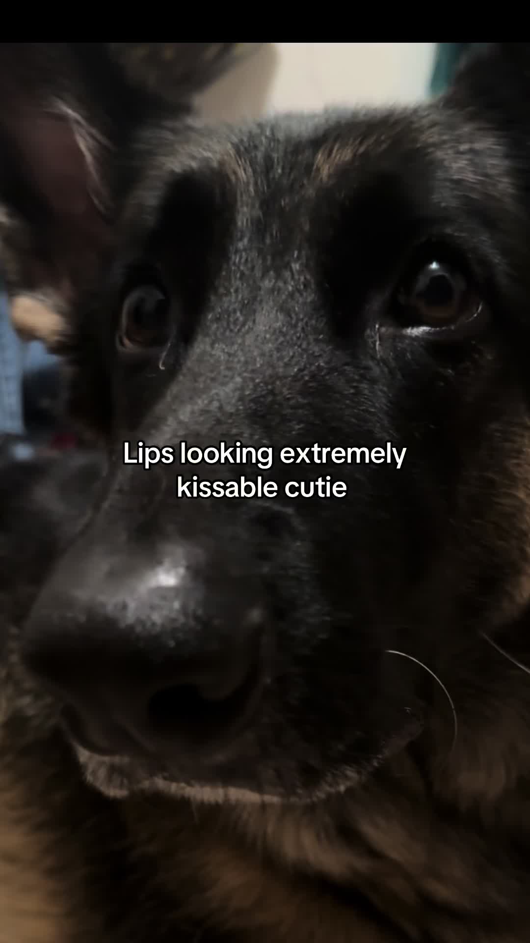 @Bhris