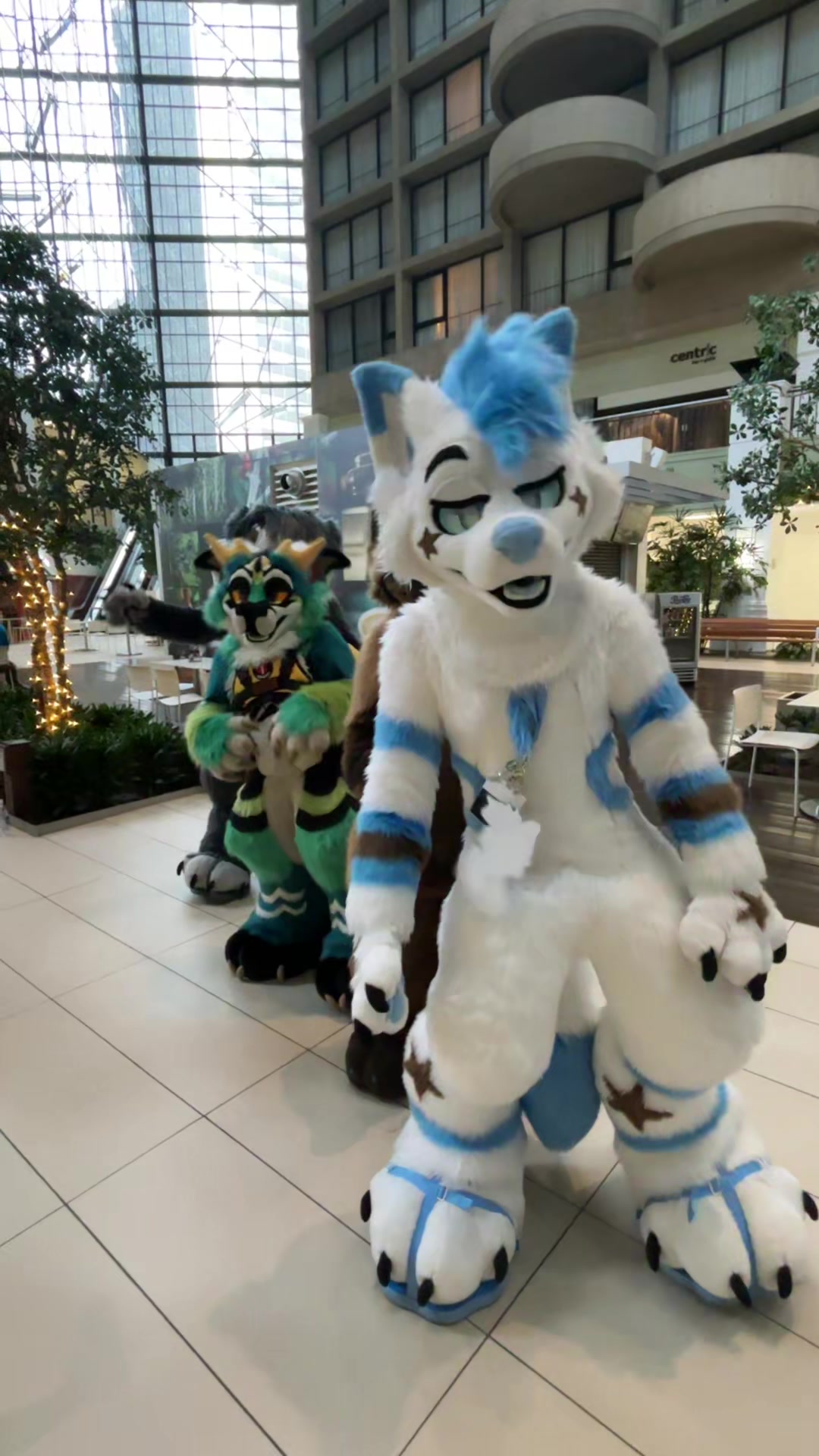 @BlueFoxNova
