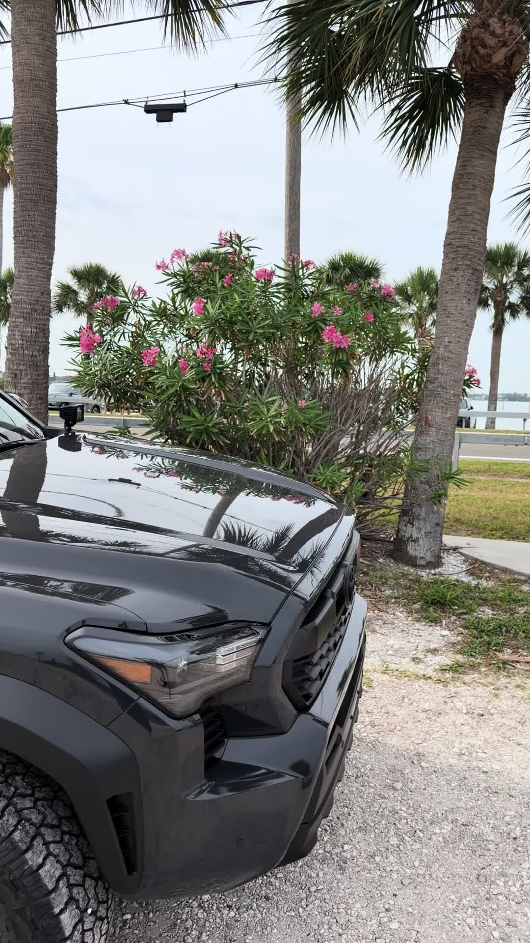 @SaltTaco