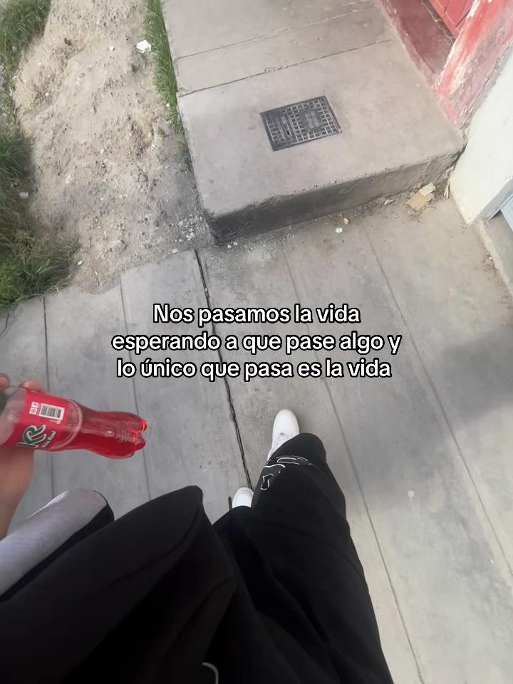 @dxviddd