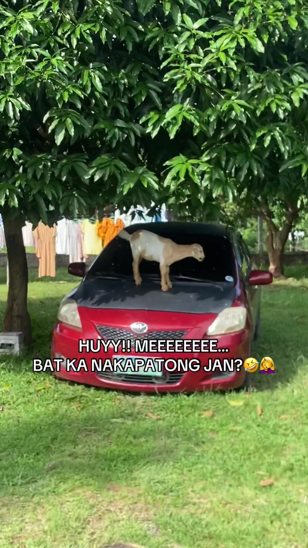 @chin06