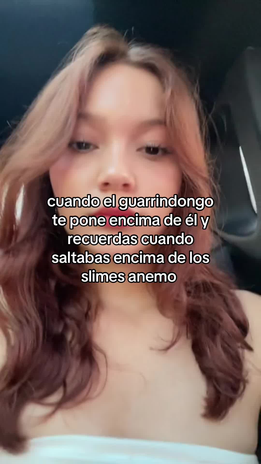 @milanesa