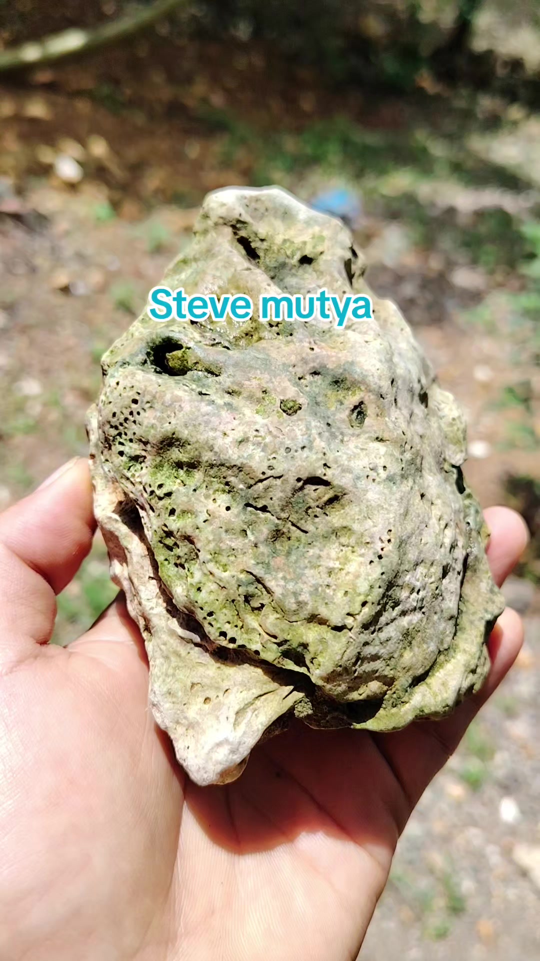 @Steve Mutya