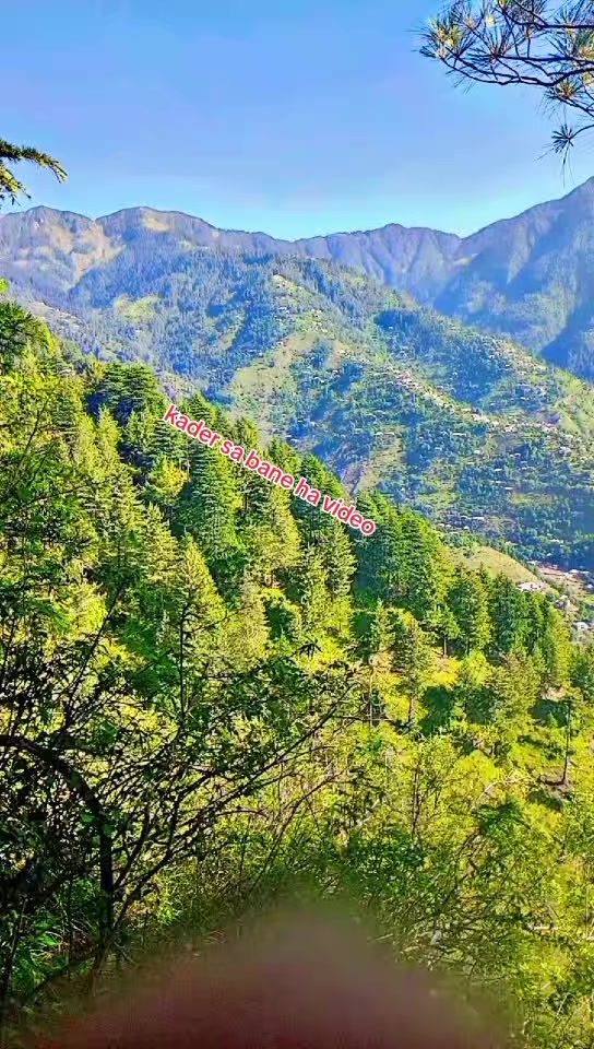 @انجان لڑکی