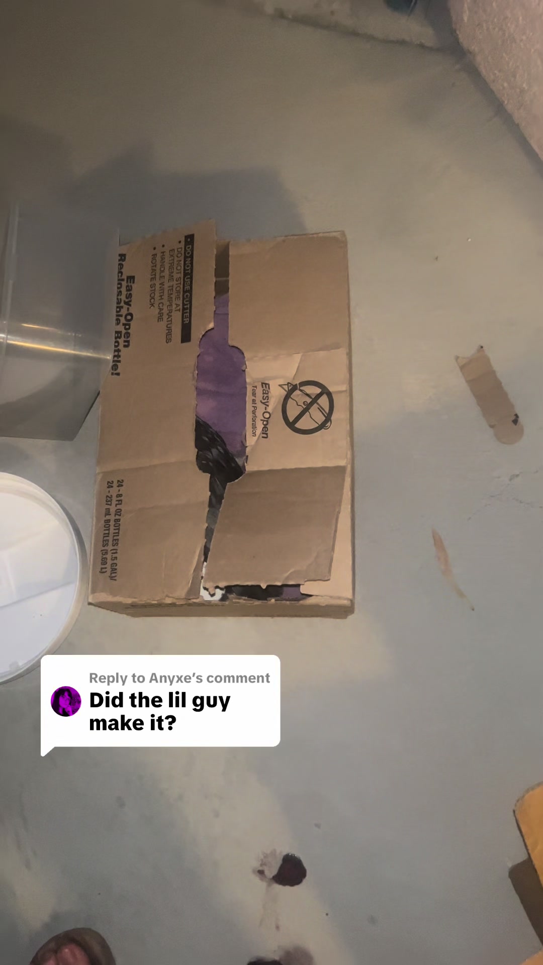 @Marisa