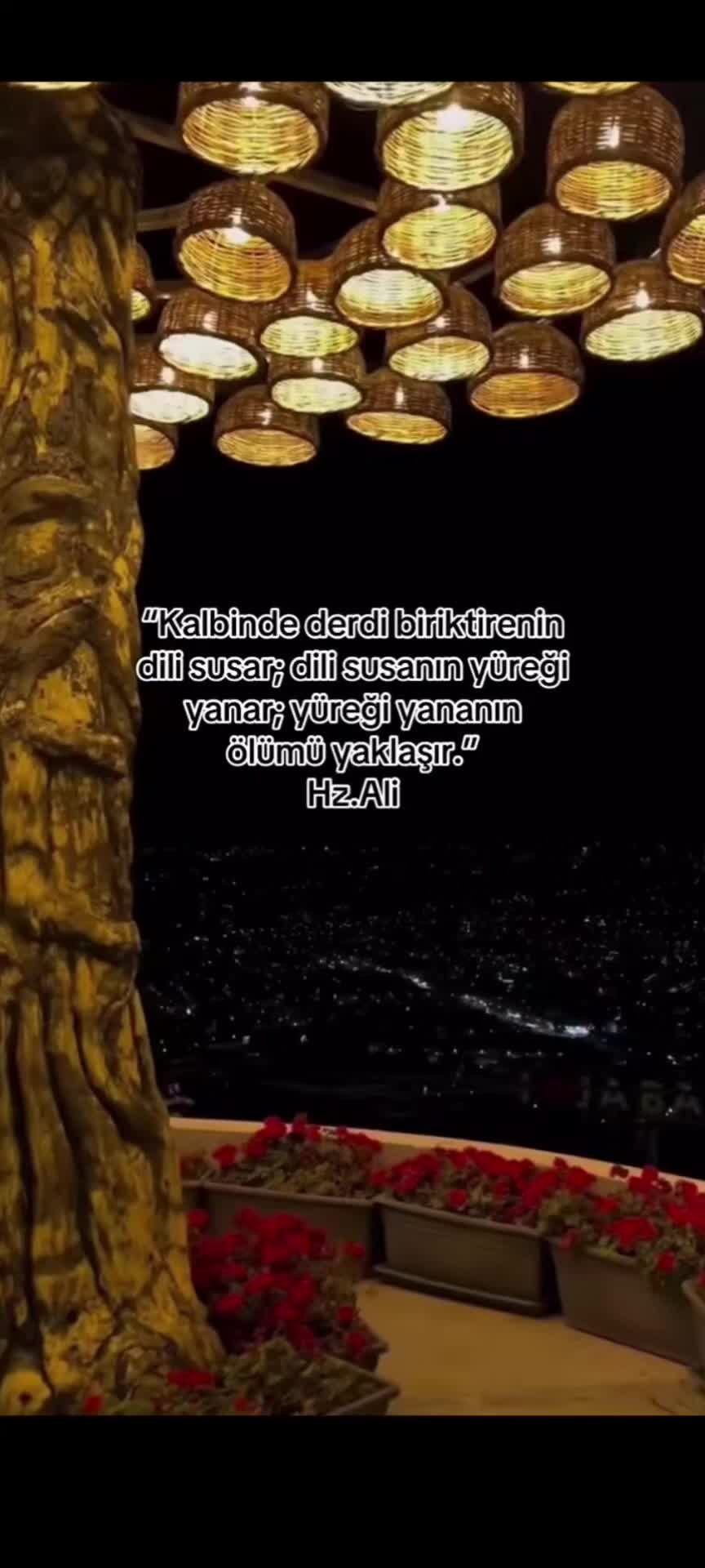 @💫 ✨ GeCe Yıldızı 💫 ✨☑️