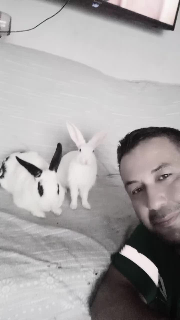 @𝐇𝐚𝐥𝐢𝐥 𝟑𝟑