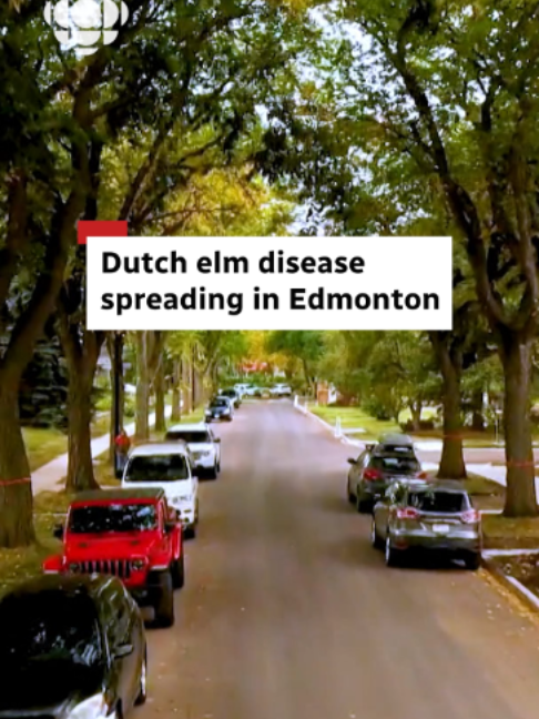 @CBC Edmonton