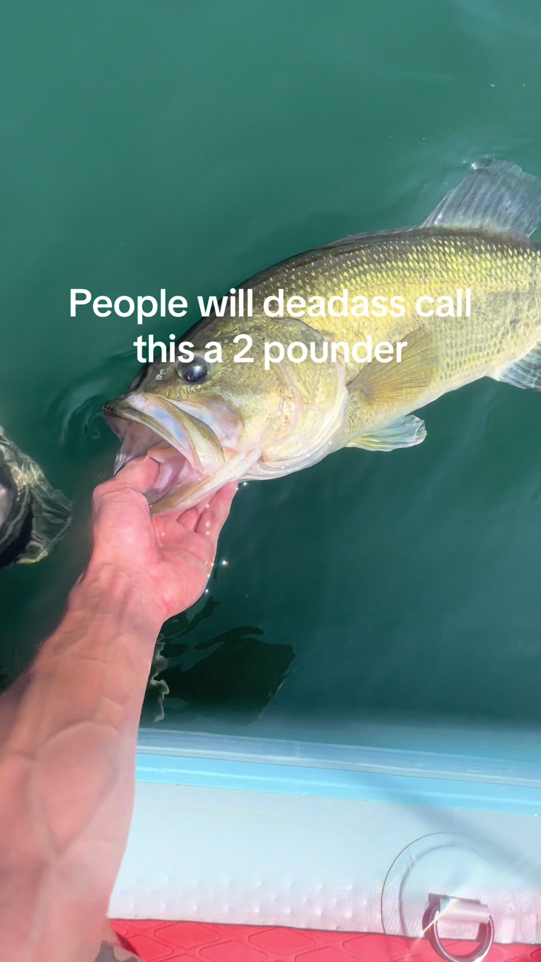 @sams.fishing_
