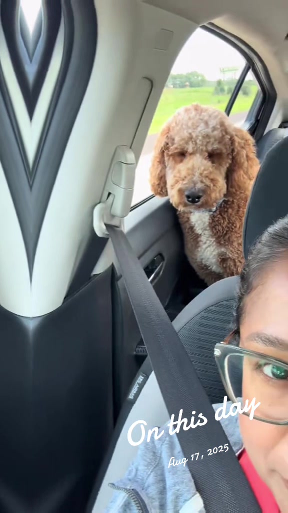 @Reyna y Churro 🐶😍