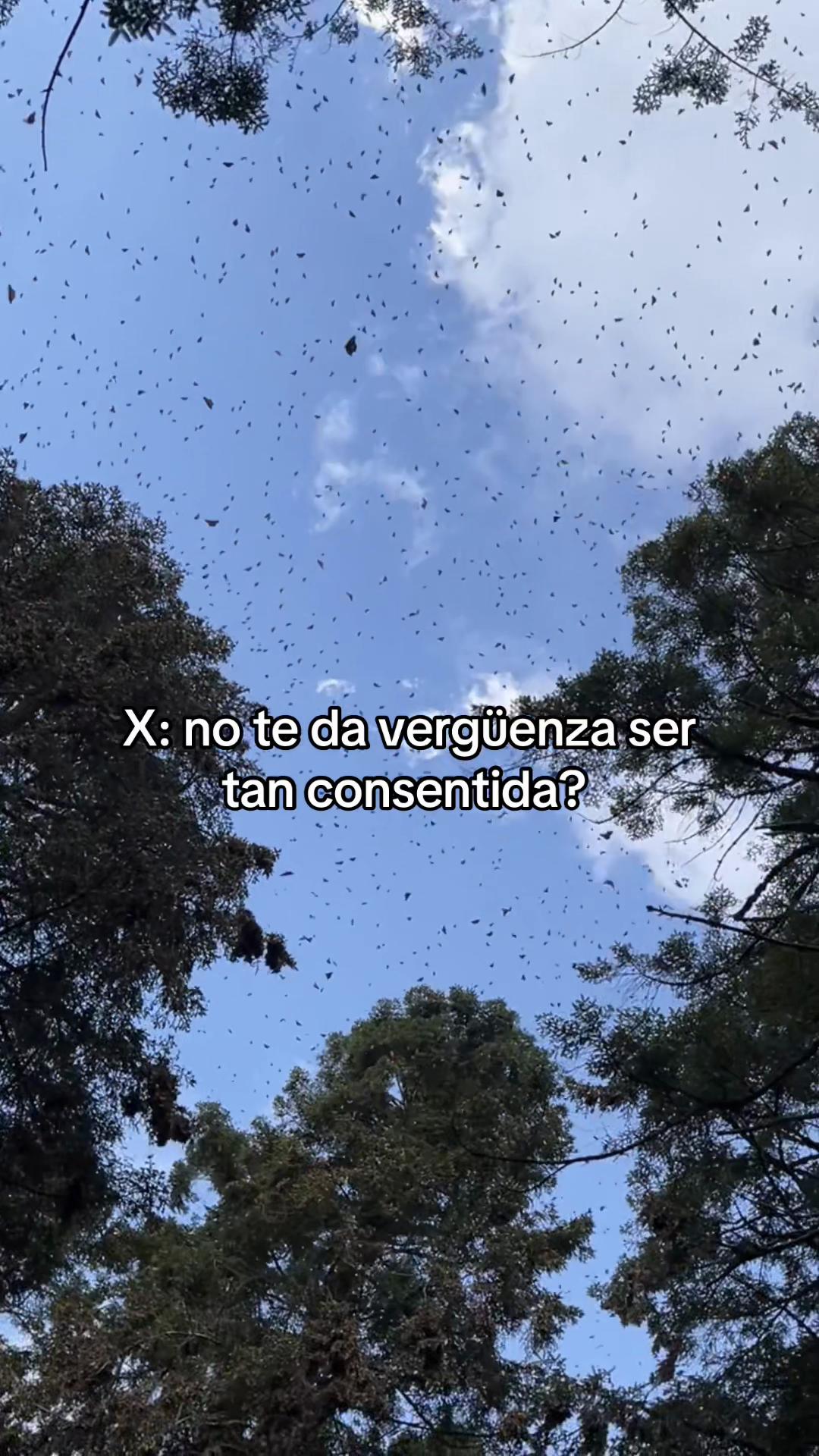 @Vicky