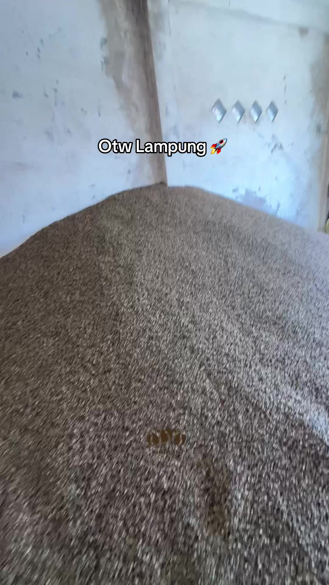 @LembakGreenbean