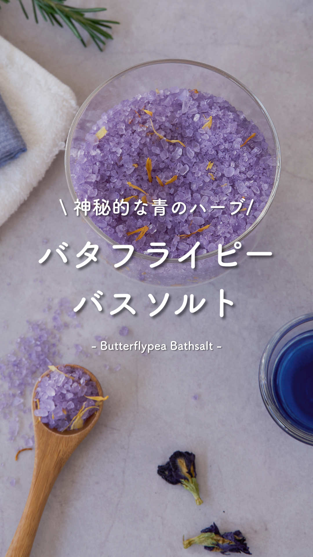 @生活の木【公式】