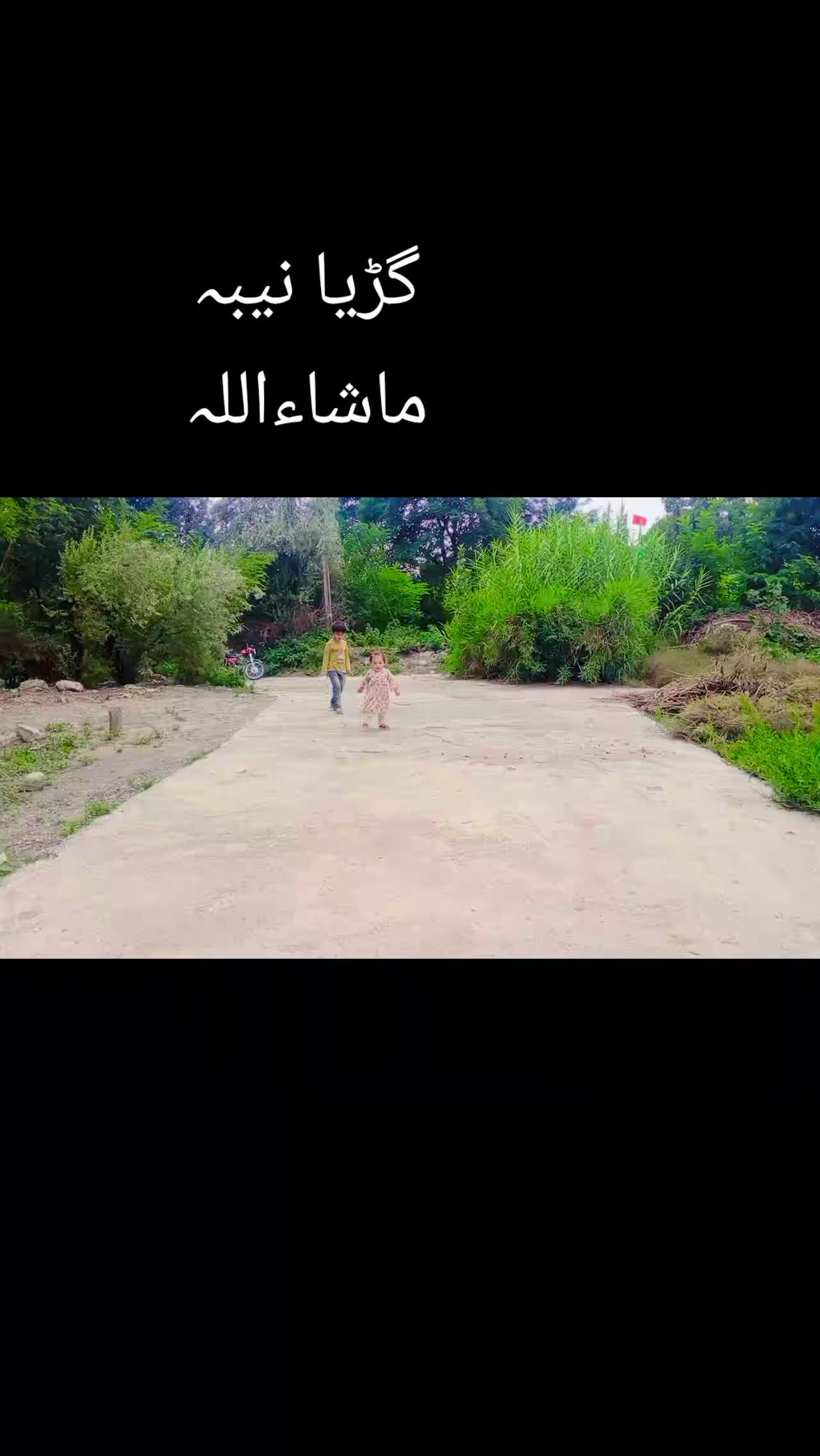 @Jauhar Ali Razdar