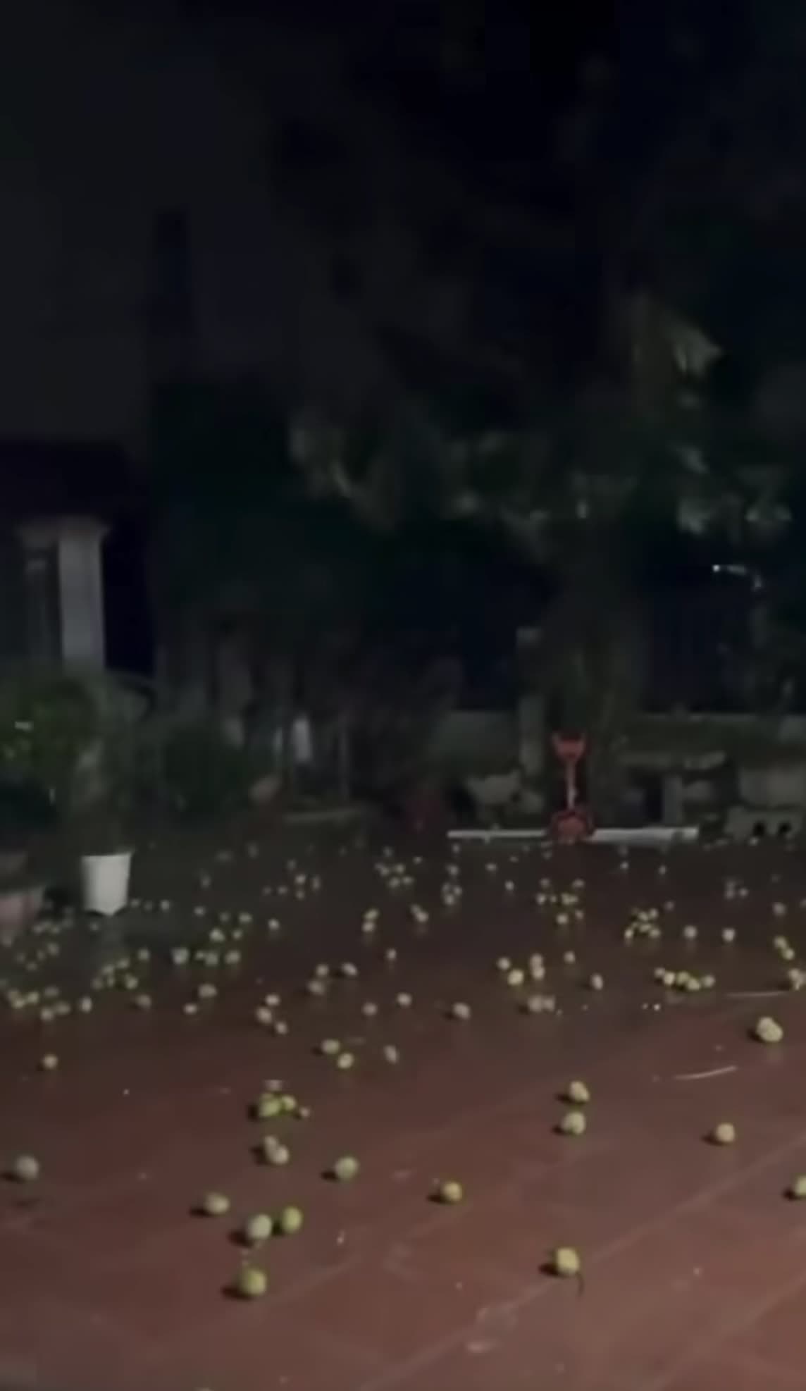 @Hải Đam Mê Du Lịch