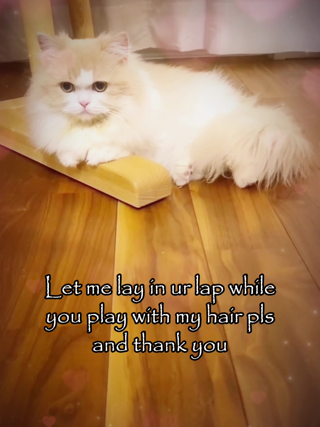 @Mihamii35