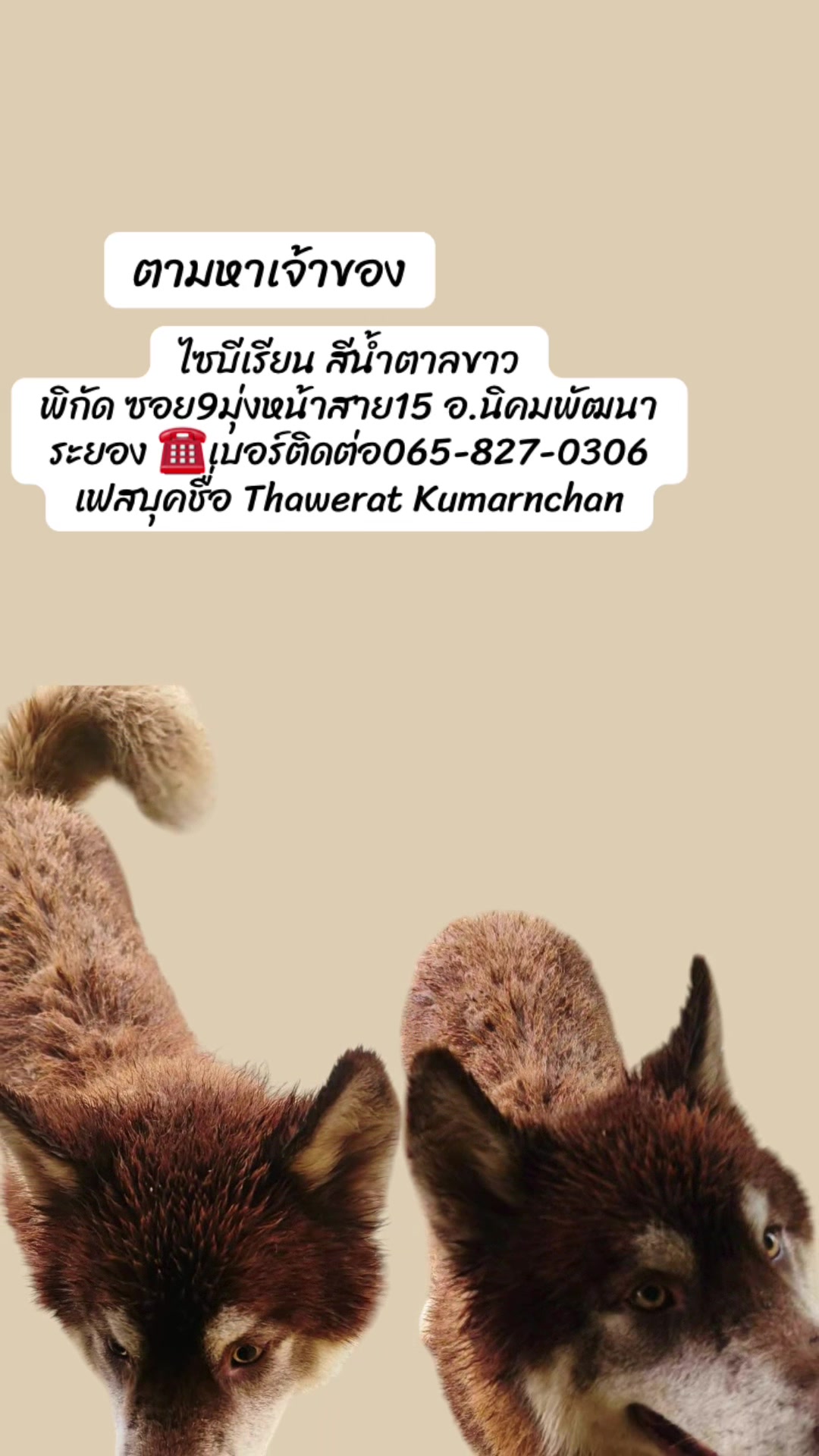 @Saowanee Sriya