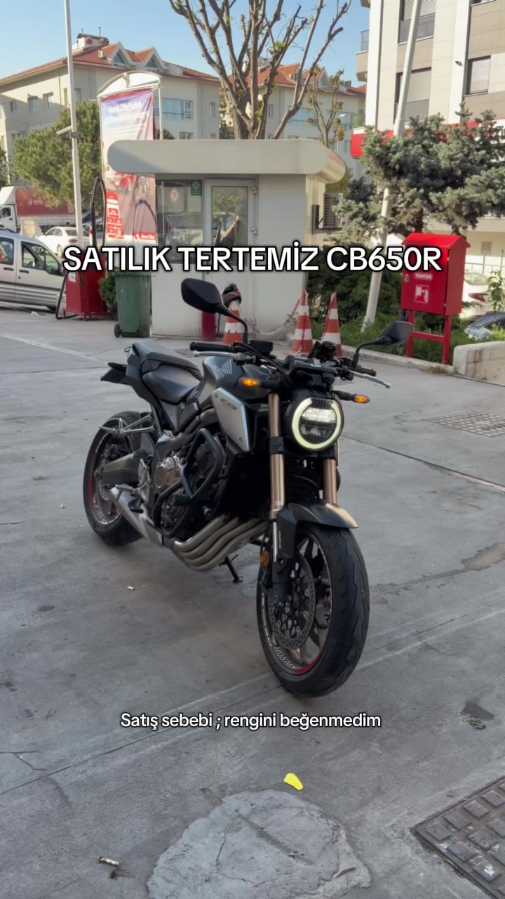 @ege