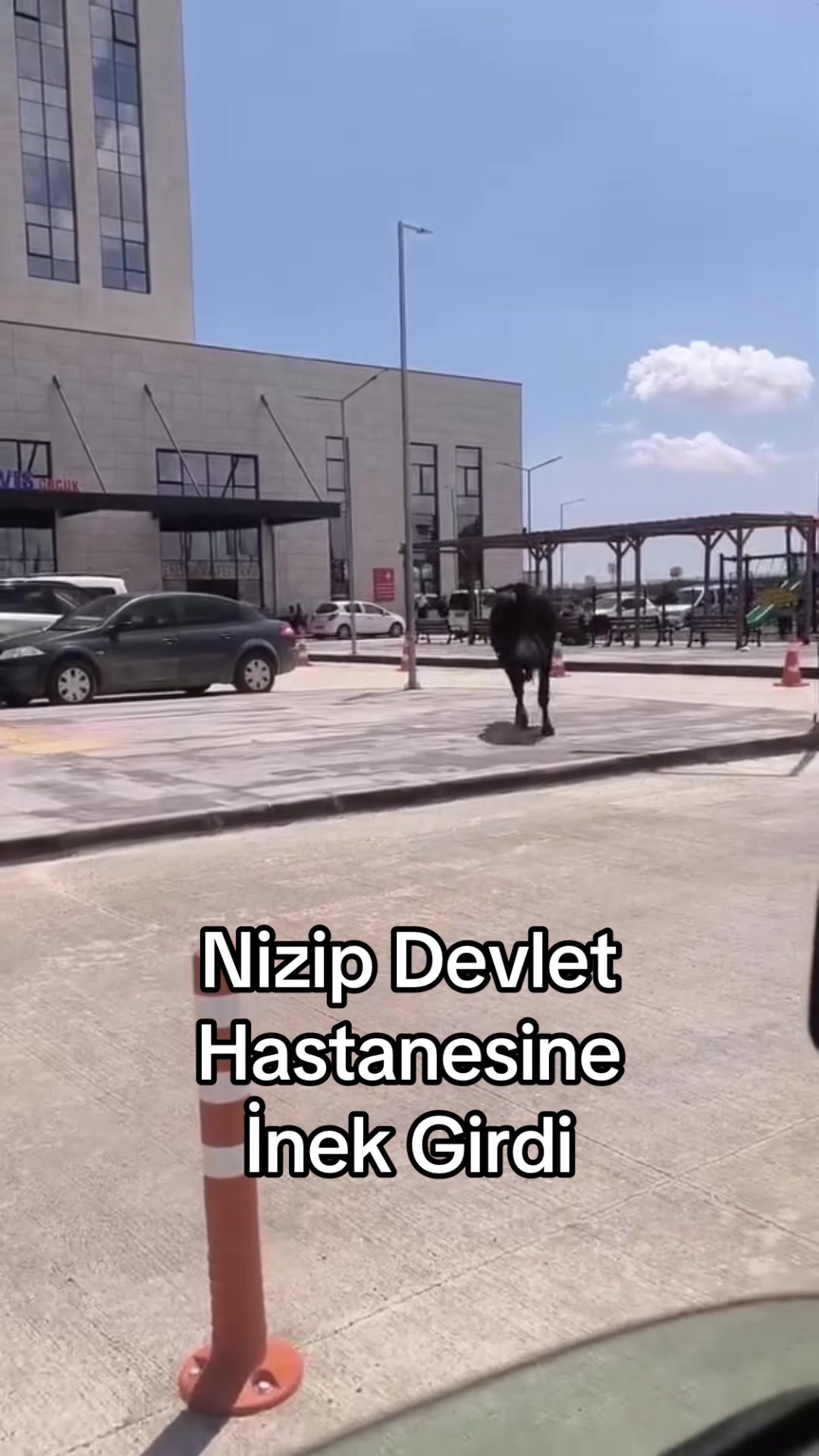 @NİZİPEGLENCE YEREL MEDYA KANAL