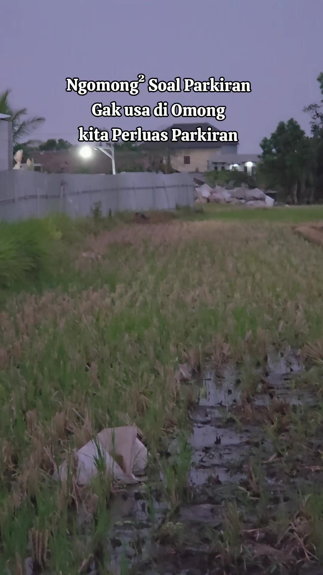 @Viurin Nursery