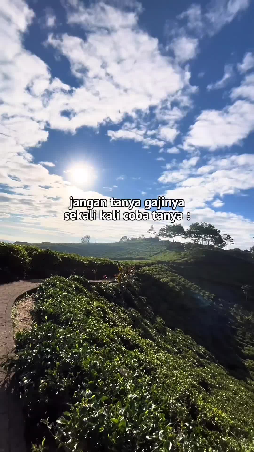 @saepularipin✨