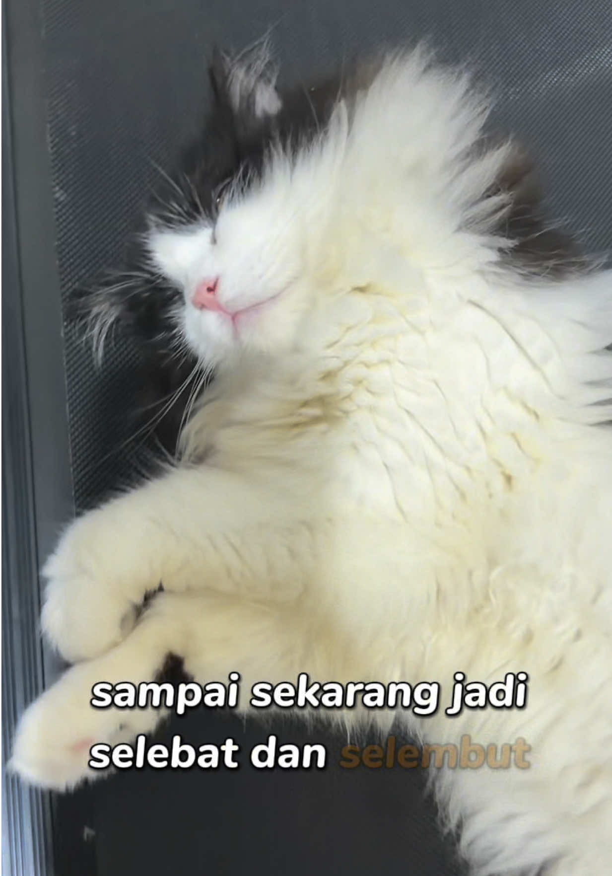 @tarissa putri ˚.🎀༘⋆