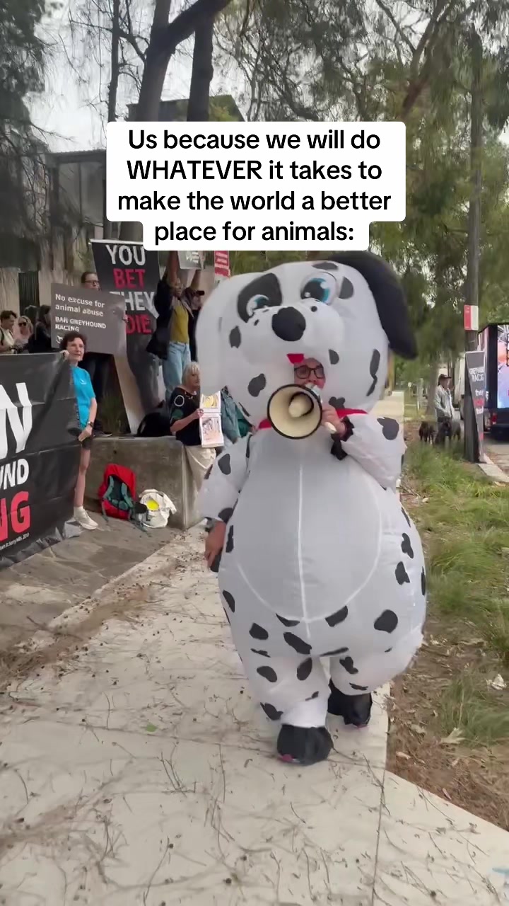 @Animal Justice Party NSW