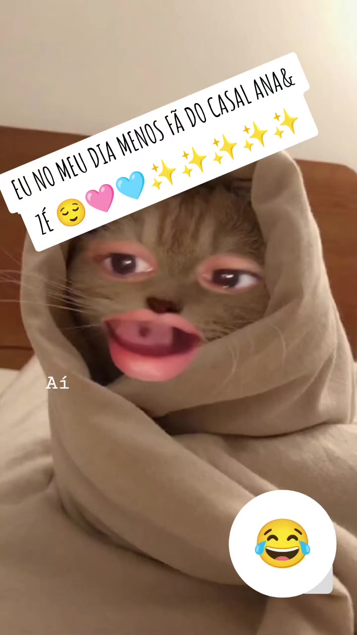@VIVI 🗣️✨🩷