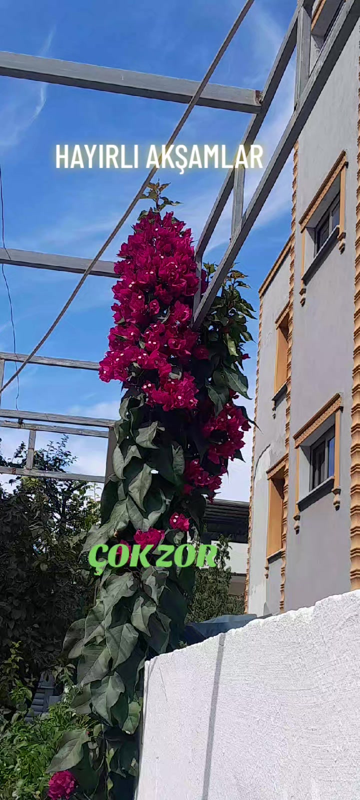 @Hasan Yılmaz
