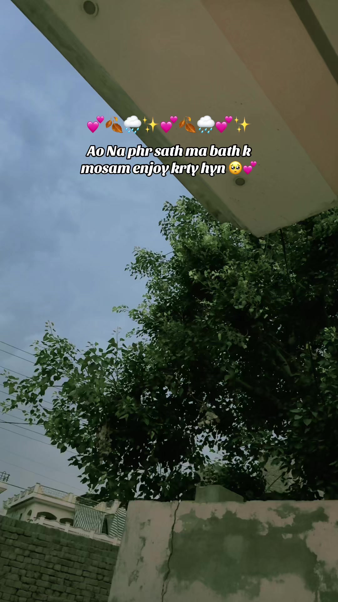 @🇸🇦💞🦋