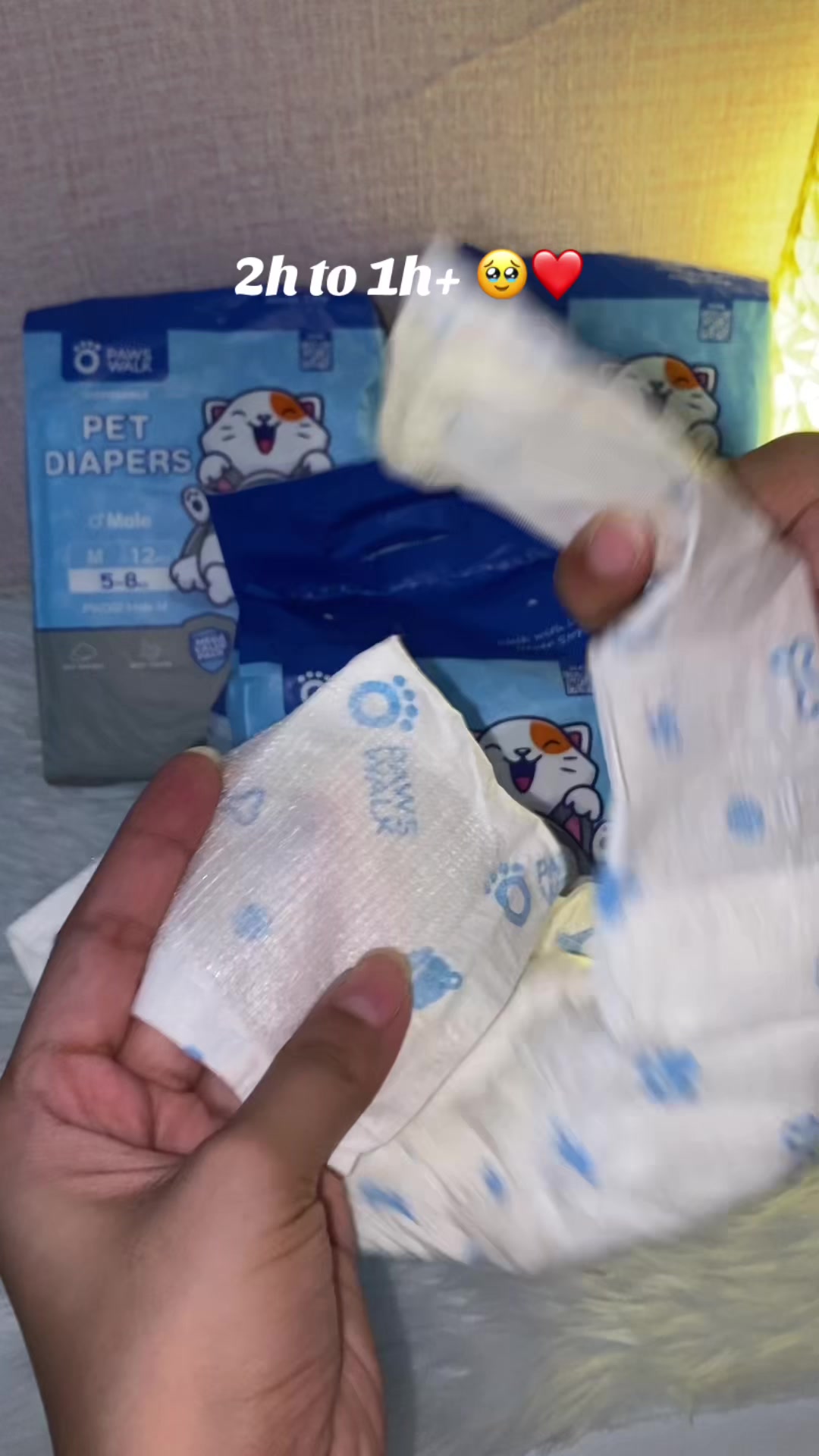 @findsss