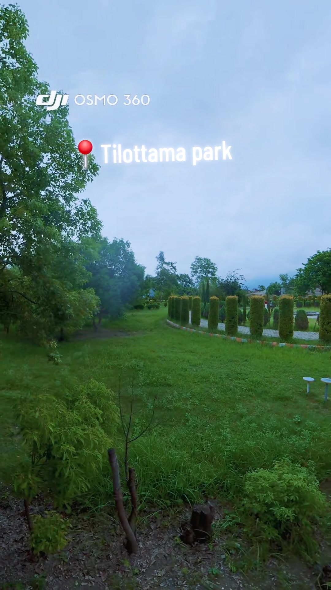 @Sangita🍀✨️