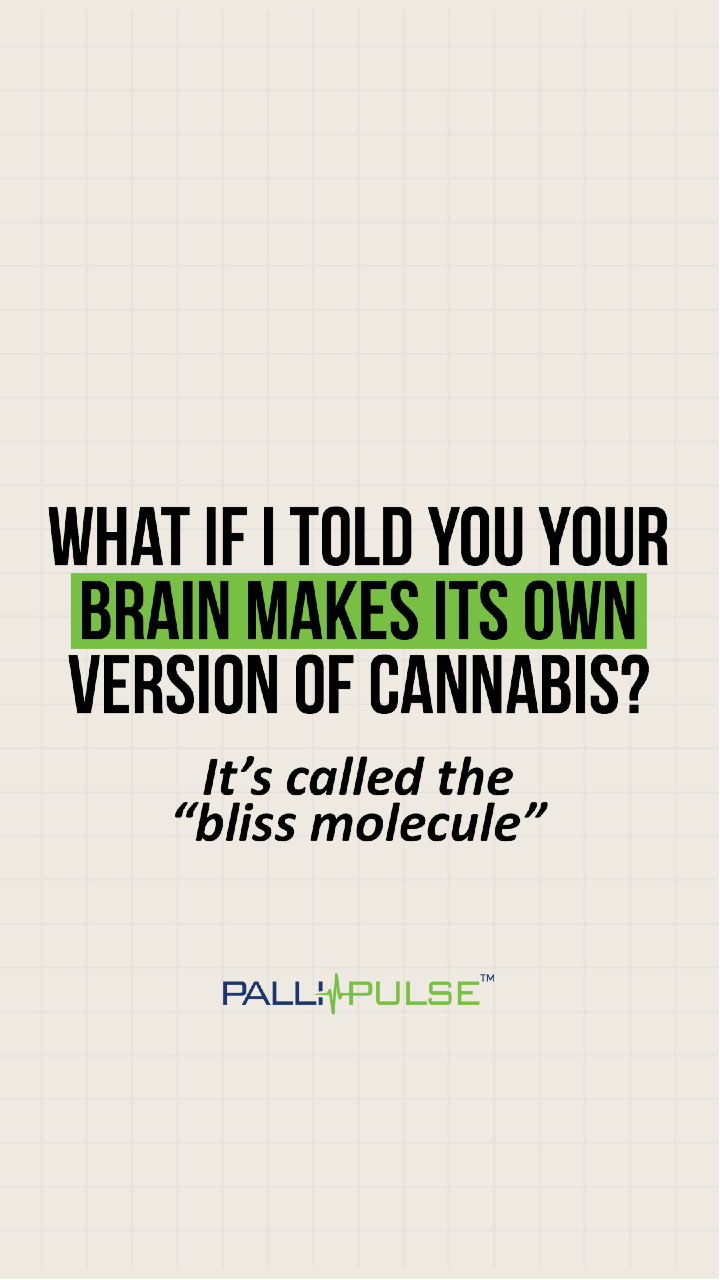 @Pallipulse