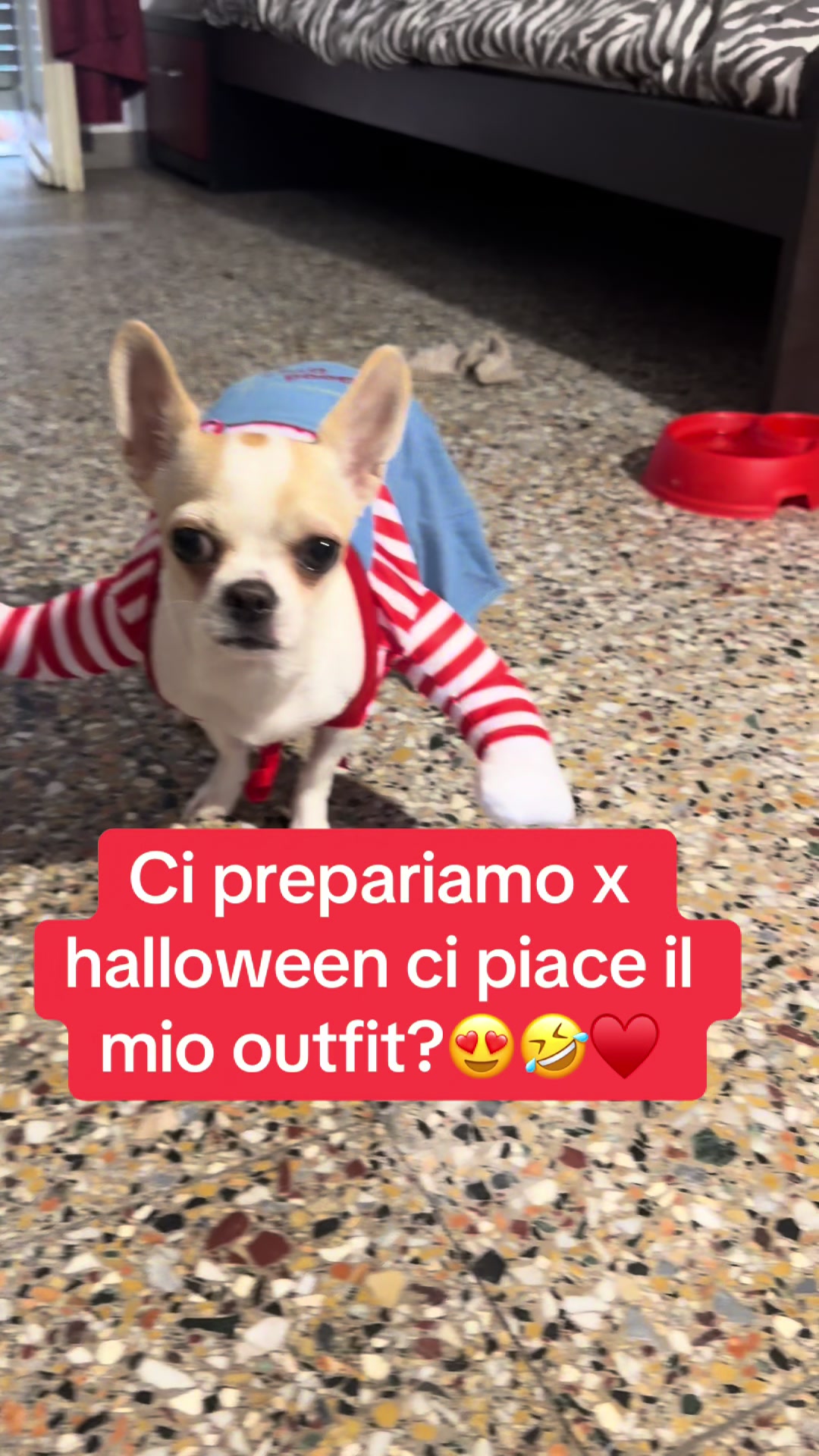 @Meryrosy♥️