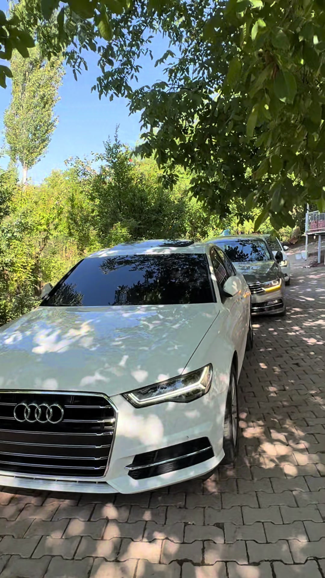@Mevlüt çam